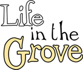 LIFE IN THE GROVE