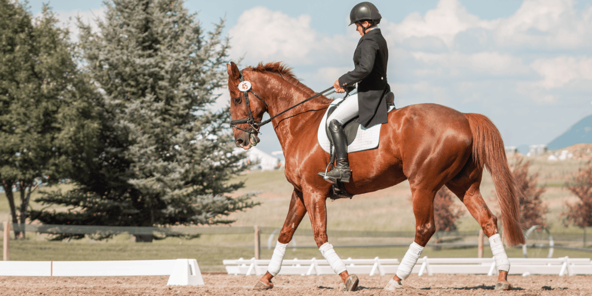 Preferential Admission – exclusive lifestyle privilege offering priority access to Stonehill International School and Embassy International Riding School for residents of Embassy luxury communities.